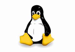 Linux